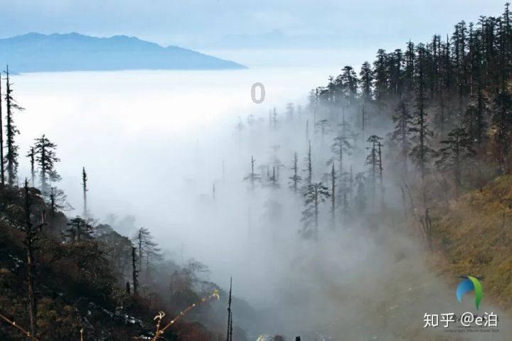 中东紧张局势升级？敏感时刻伊朗进行防空演习