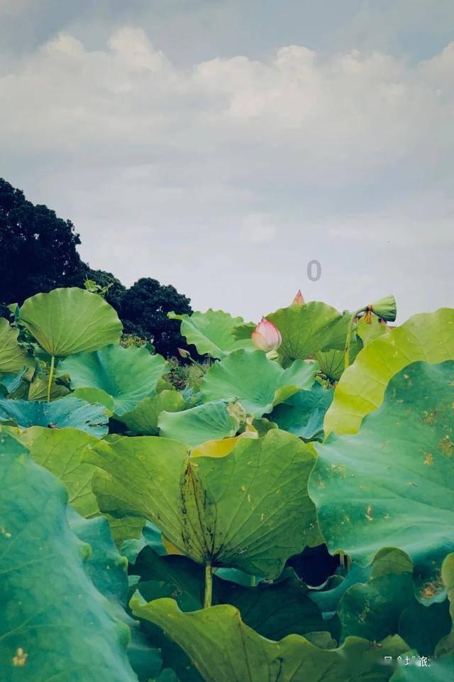救援顽皮的小女孩