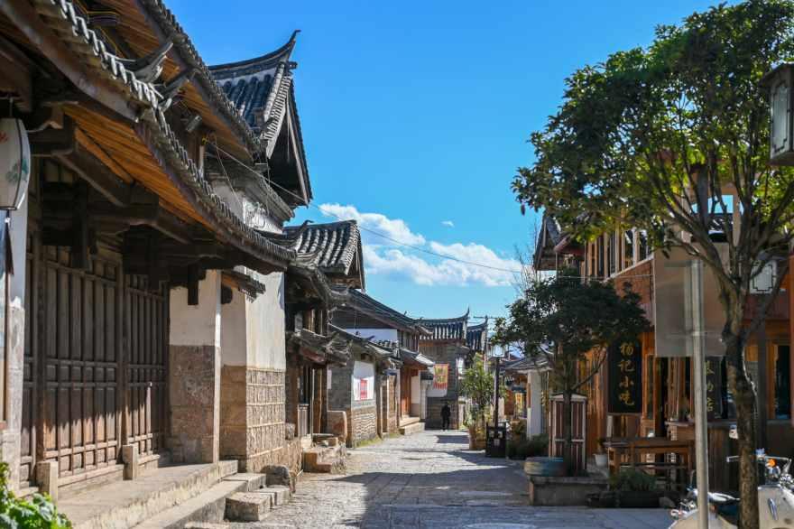 逃离野鸡森林